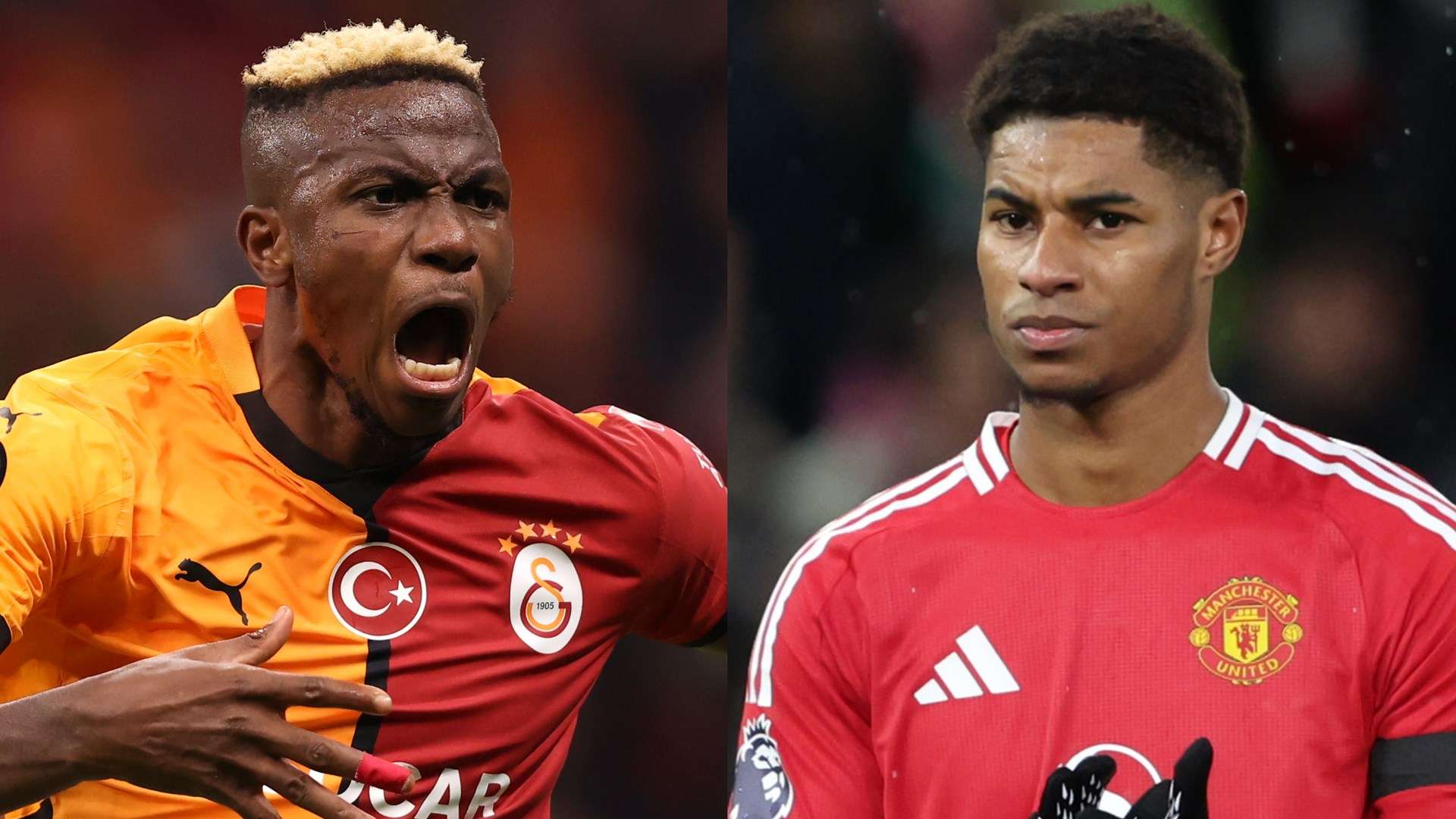 他并没有因 他并没有因