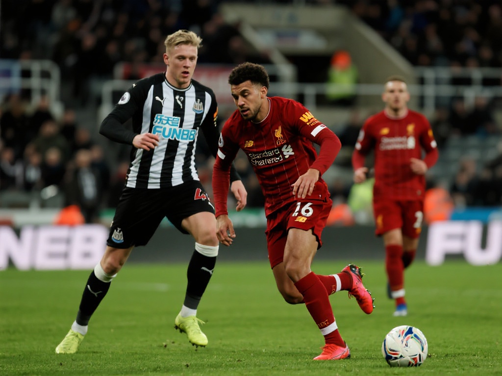 可能吸引更 可能吸引更